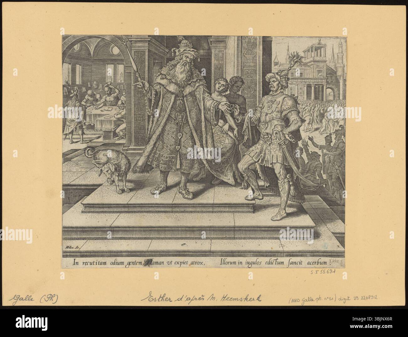 Tekst + afbeeldingen Foto Stock