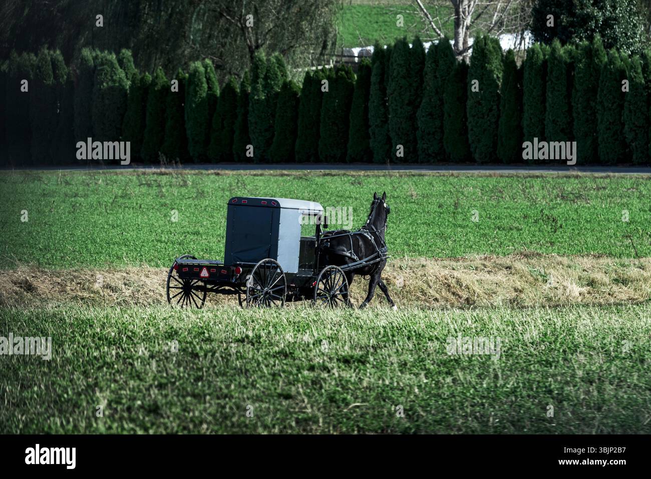 Una carrozza Amish trainata da cavalli percorre una strada di campagna. Foto Stock