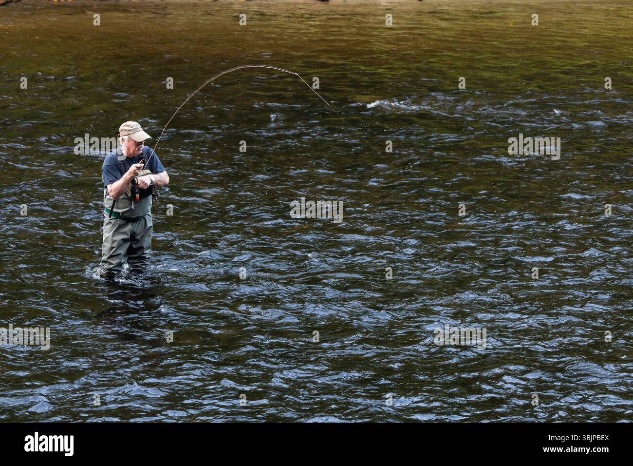 La pesca con la mosca Farmington fiume _ Barkhamsted, Connecticut, Stati Uniti d'America Foto Stock