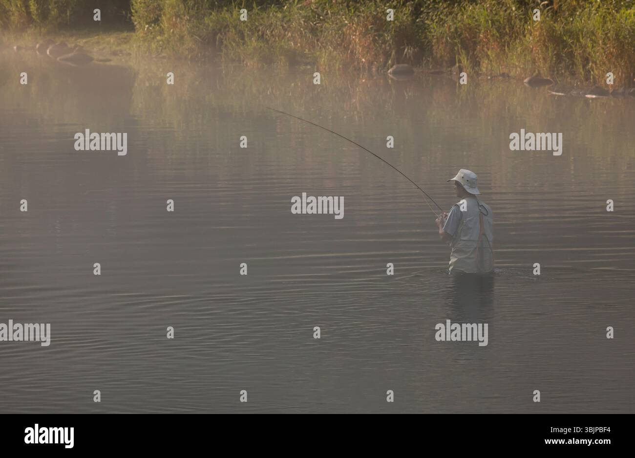 La pesca con la mosca Farmington fiume _ Barkhamsted, Connecticut, Stati Uniti d'America Foto Stock
