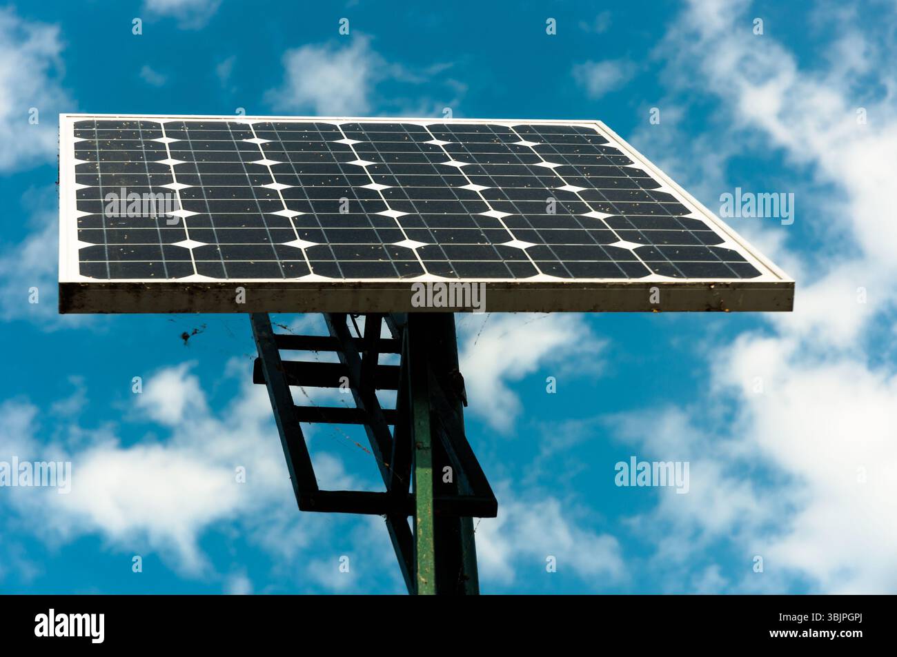 Pannelli solari che guardano verso il cielo Foto Stock