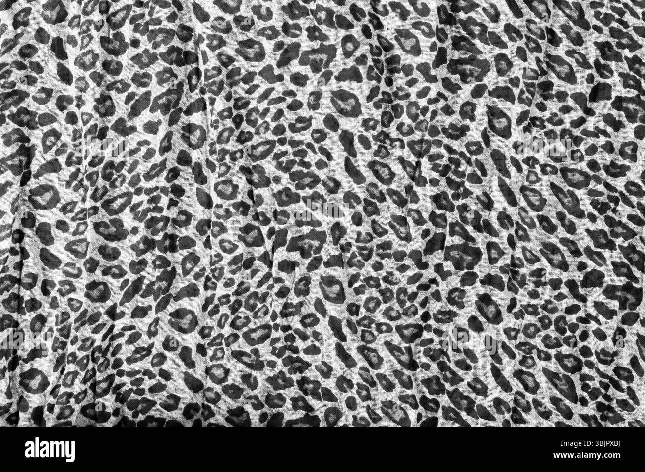Primo piano di texture Leopard astratto Foto Stock