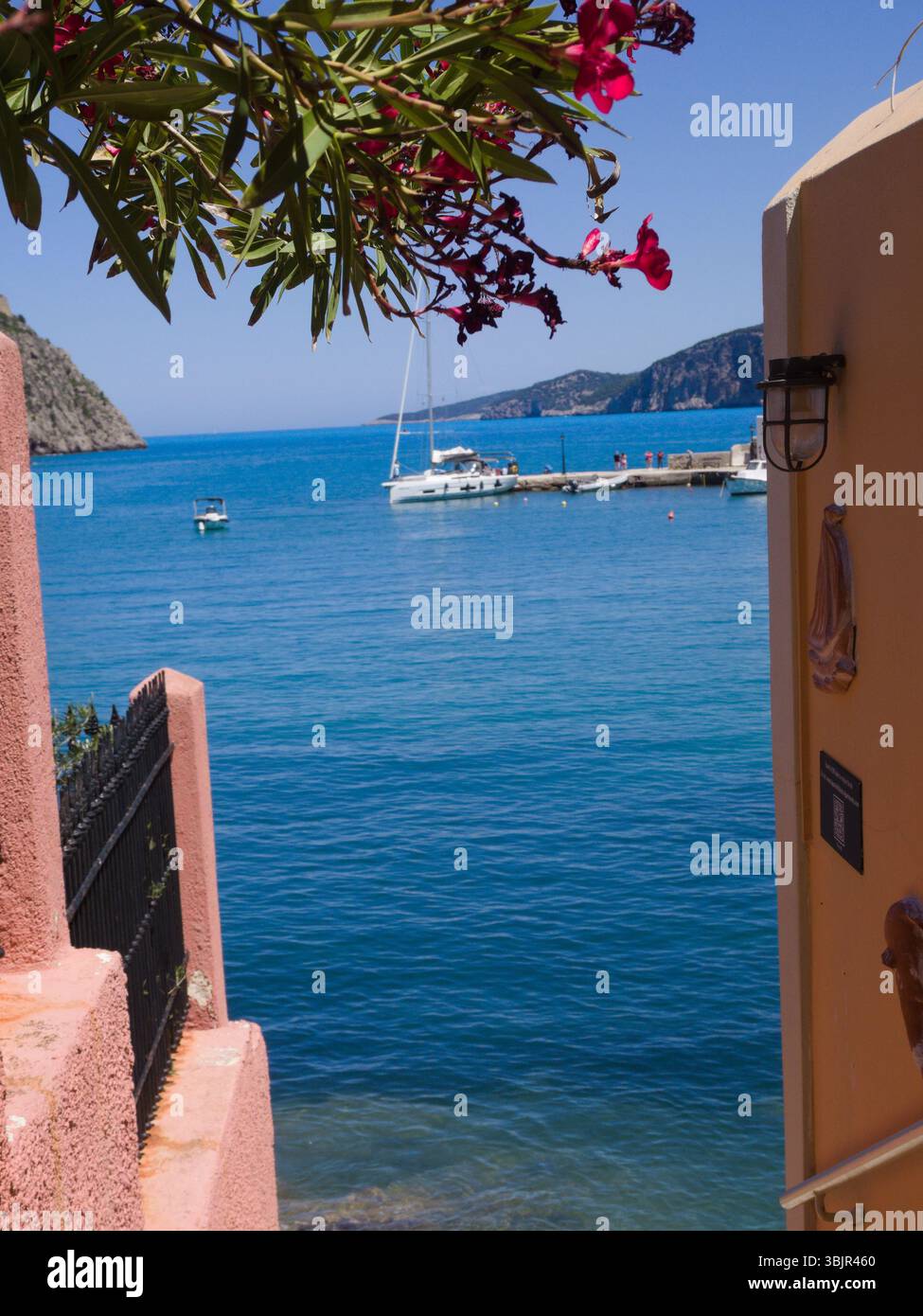 Colorata strada greca fiancheggiata da oleandri fioriti e pareti rosa sotto il sole luminoso, che si apre su una sottile vista della baia di Assos. Foto Stock