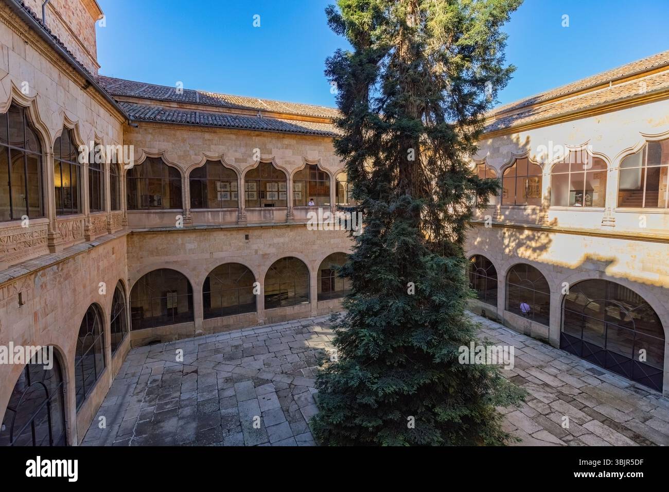 Patio interno dell'Università di Salamanca in Spagna Foto Stock