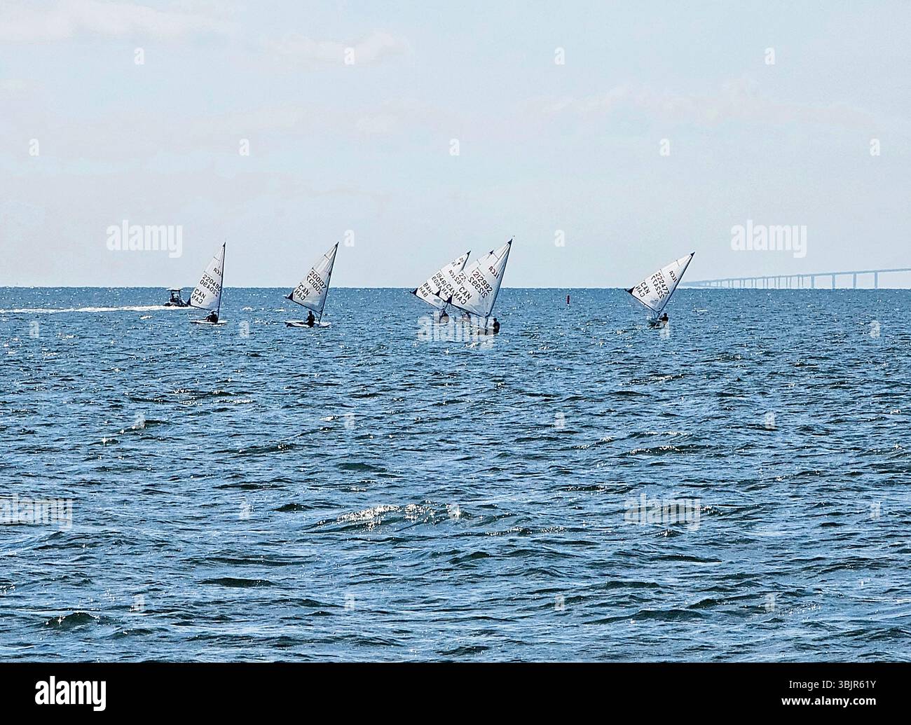 Regata in barca a vela nella baia di Tampa - Immagine stock catturata con smartphone