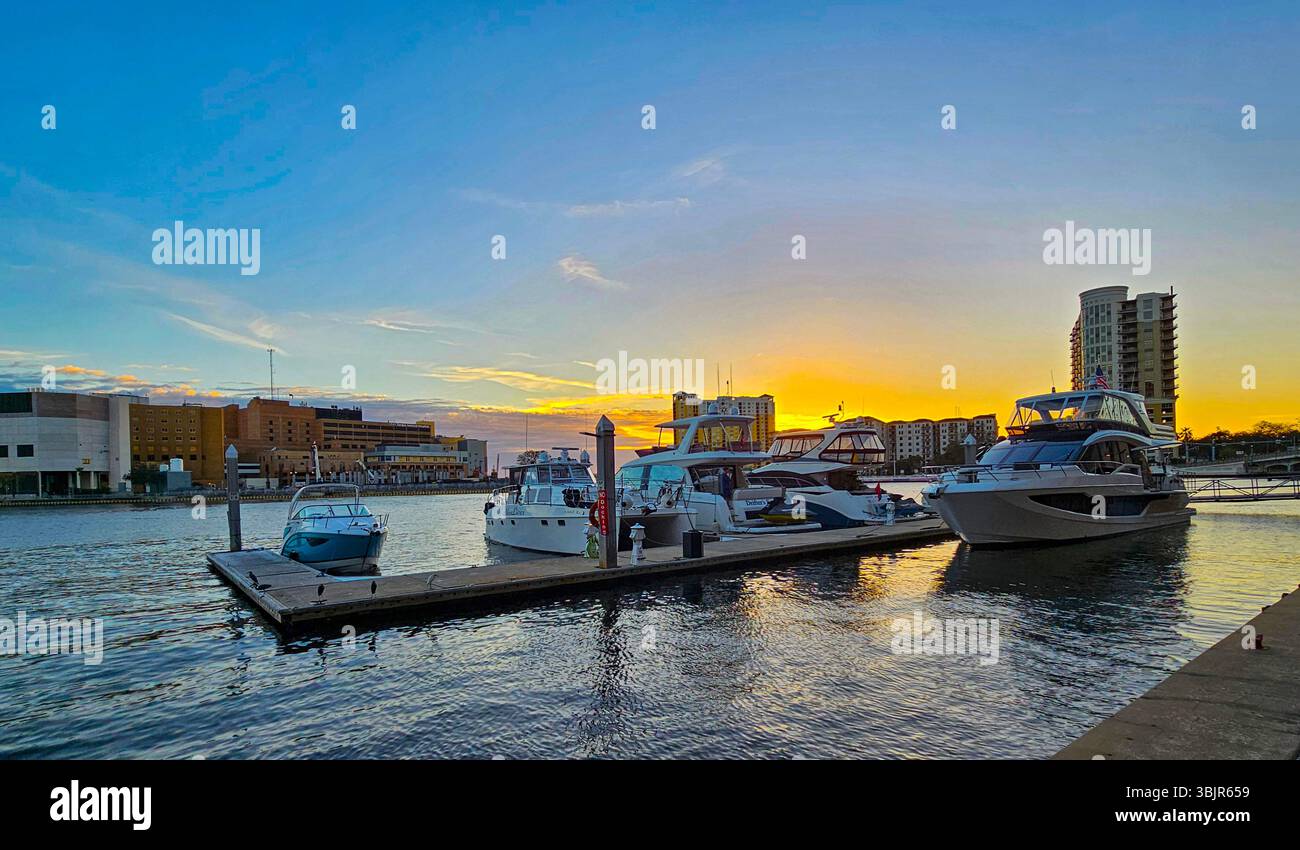 Lungomare di Tampa, Florida. Yacht privati attraccati sul lungomare nel centro di Tampa al tramonto. - Immagine stock catturata con smartphone