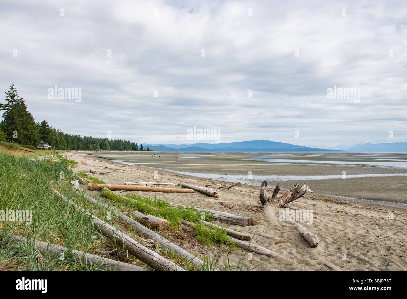 Registri di Rathtrevor Beach a Parksville, British Columbia, Canada Foto Stock