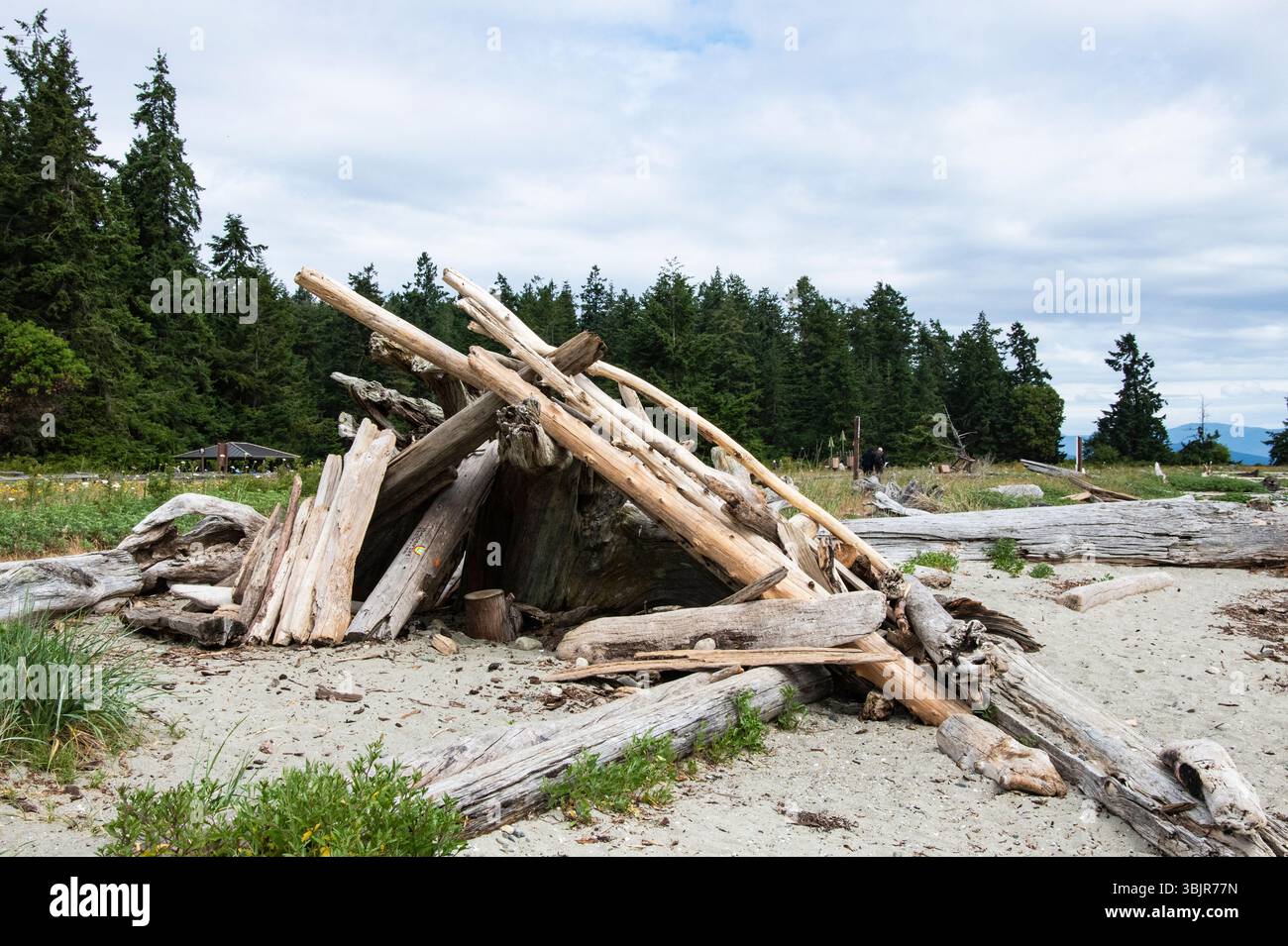 Riparo realizzato in legno di mare sulla spiaggia di Rathtrevor a Parksville, British Columbia, Canada Foto Stock