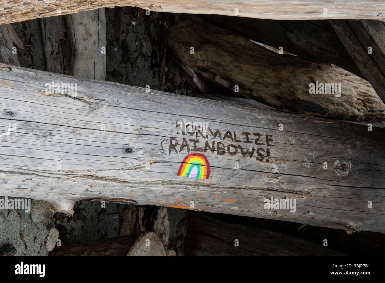 Normalizza Rainbow dipinti su un tronco a Rathtrevor Beach a Parksville, British Columbia, Canada Foto Stock