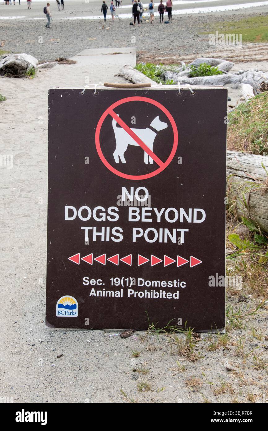 Nessun cane oltre questo punto è segnalato sul sentiero per Rathtrevor Beach a Parksville, British Columbia, Canada Foto Stock