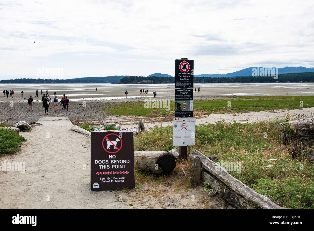 Nessun cane oltre questo punto è segnalato sul sentiero per Rathtrevor Beach a Parksville, British Columbia, Canada Foto Stock
