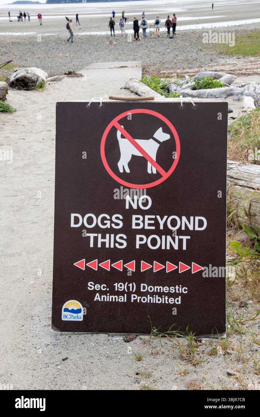Nessun cane oltre questo punto è segnalato sul sentiero per Rathtrevor Beach a Parksville, British Columbia, Canada Foto Stock