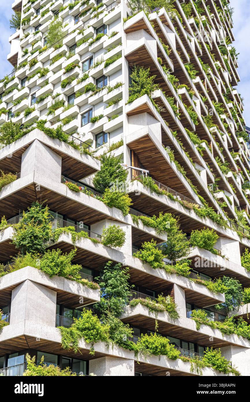 Wonderwoods Residential Tower, uno dei 2 edifici verdi, a Utrecht nel nuovo sano quartiere urbano, presso la stazione centrale, 105 metri di altezza con 30 Foto Stock