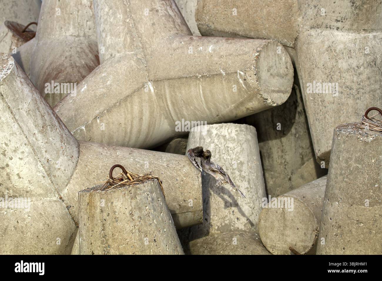 Tetrapodi in calcestruzzo (protezione contro le onde mobili) - sfondo per costruttori portuali Foto Stock