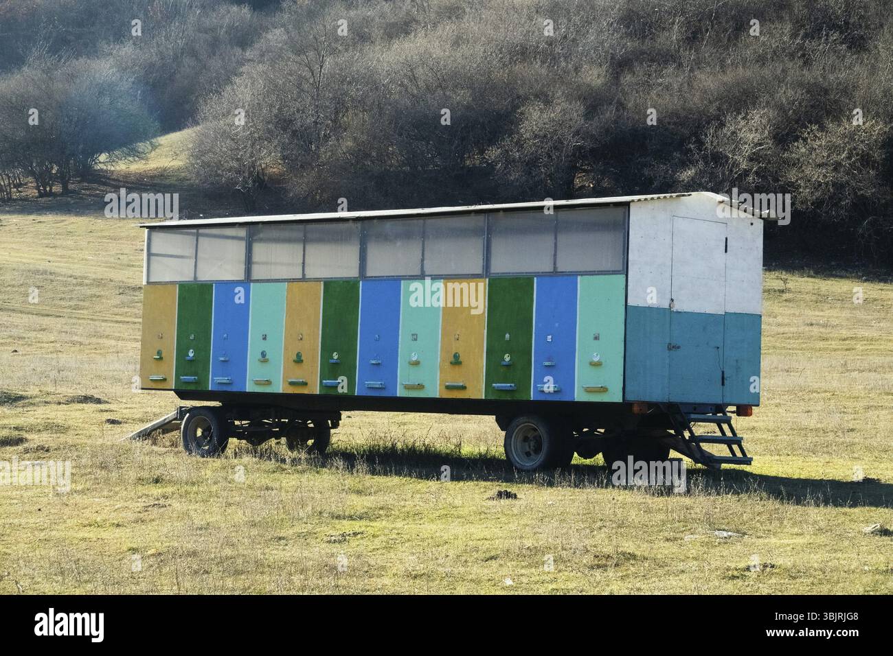 Apicoltura mobile, apicoltura migratoria e apiario all'aperto. Gli alveari sono caricati su un veicolo per il trasporto ai trimestri invernali Foto Stock