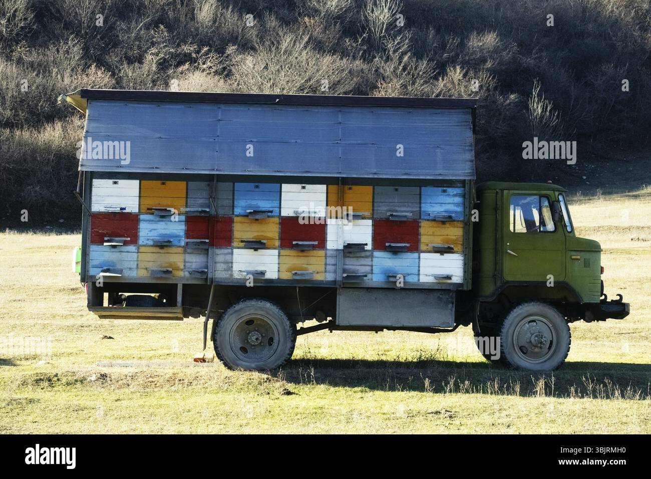 Apicoltura mobile, apicoltura migratoria e apiario all'aperto. Gli alveari sono caricati su un veicolo per il trasporto ai trimestri invernali Foto Stock