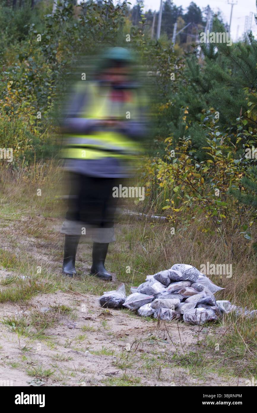 Scienze del suolo (edaologia), prelievo di campioni di suolo sul campo. I pacchetti contengono campioni di terreno sabbioso proveniente dalle foreste settentrionali. In background è possibile vedere gir Foto Stock