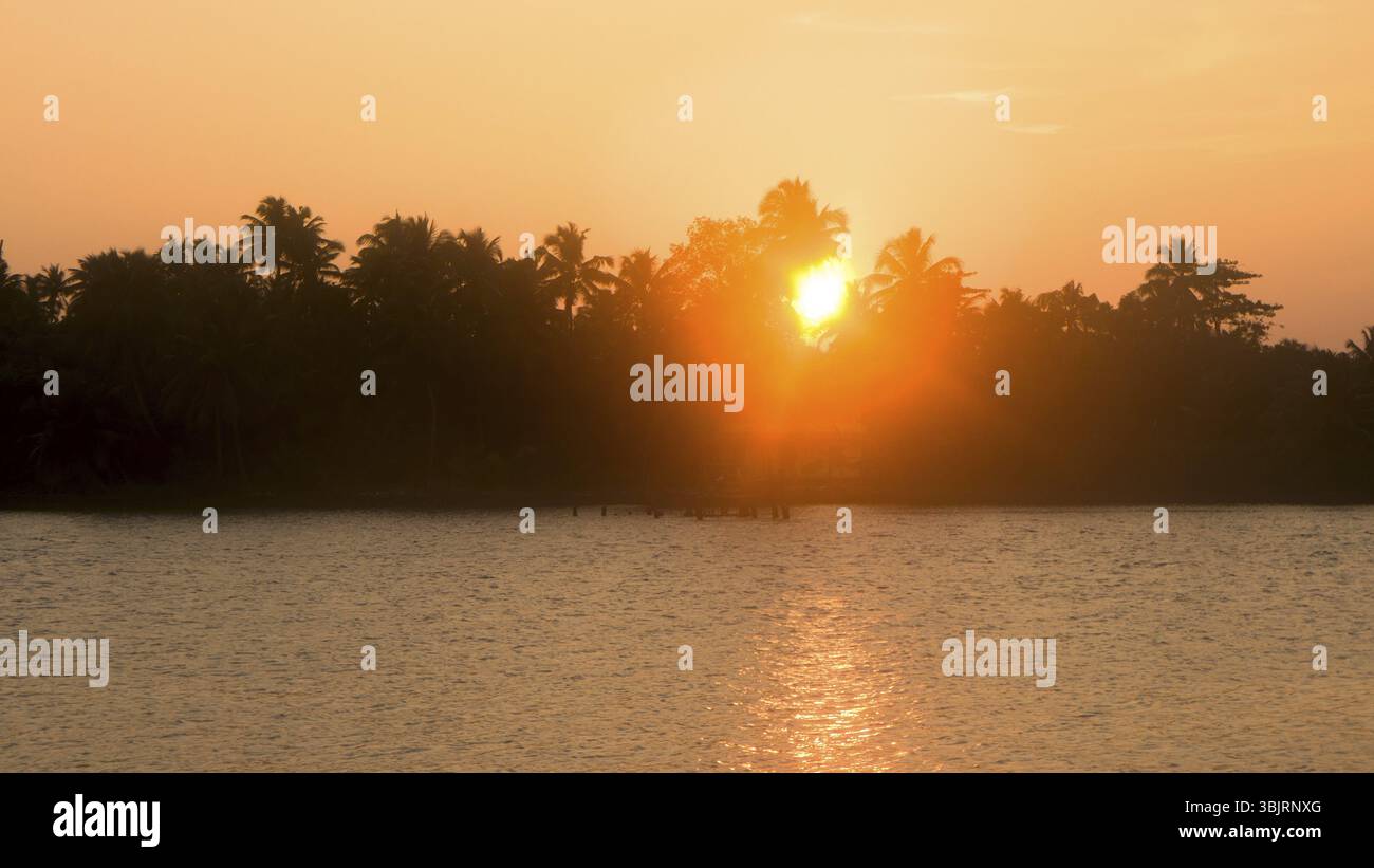 Tramonto sul fiume indiano, sun in corone di palme, uccelli in volo Foto Stock