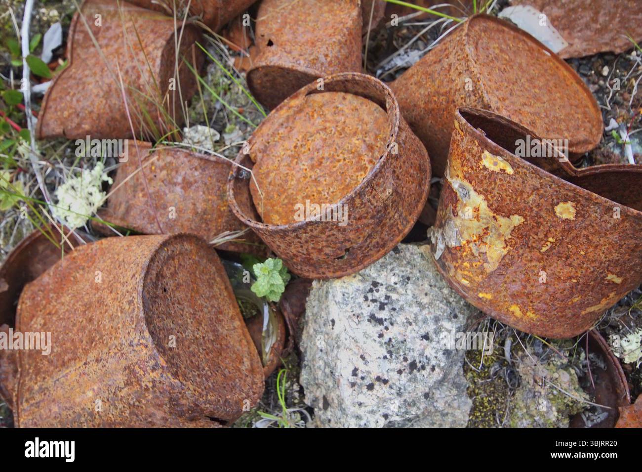 Gettato molti anni fa un barattolo arrugginito Foto Stock