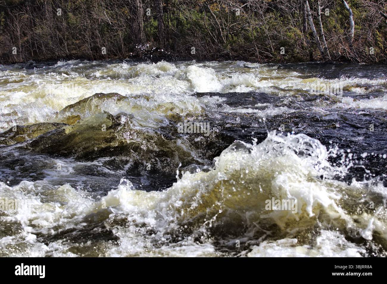 L'acqua del fiume è una forza enorme che si precipita davanti alla telecamera Foto Stock