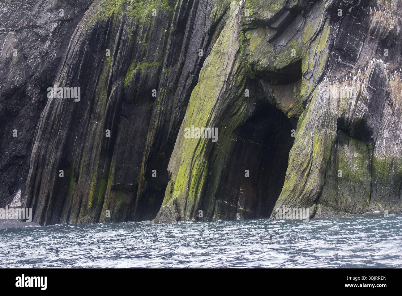 Ruotato di strati geologici. Più morbide le rocce sedimentarie erose dalle onde e formata grotte (grotta). Sui bordi degli strati duro trova uccelli di mare Foto Stock
