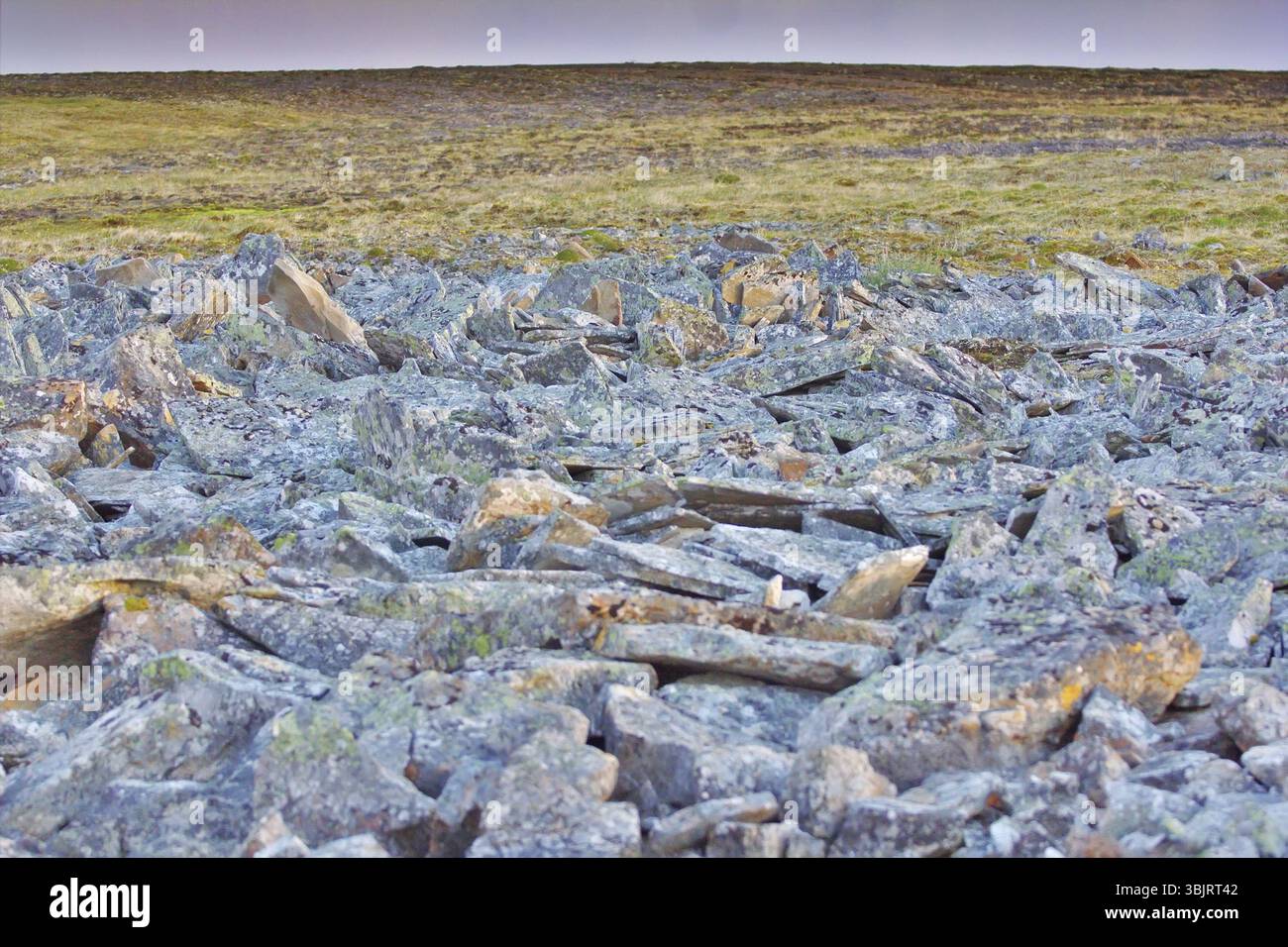 Accumulo caotico di pietre che vengono spinti verso la superficie da permafrost. Novaya Zemlya arcipelago, Arctique russo Foto Stock