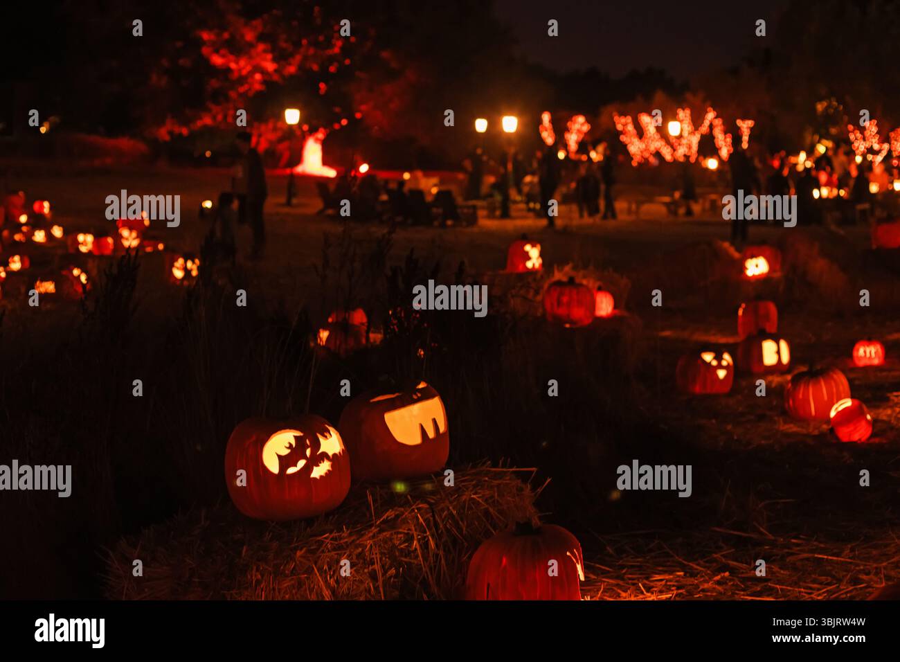 Il festival delle zucche illumina una notte piena di zucche intagliate e decorazioni festose in un vivace ambiente all'aperto Foto Stock