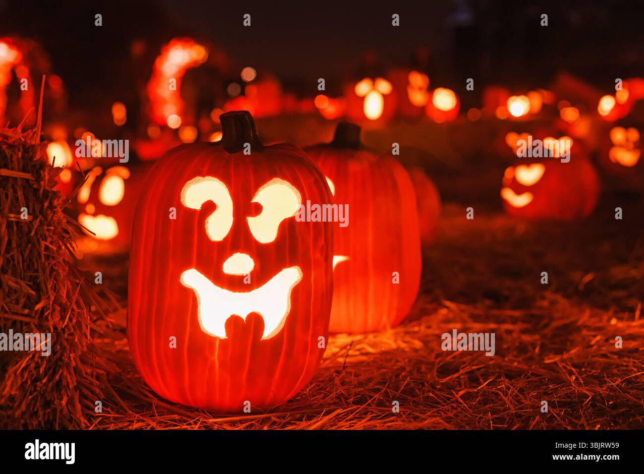 Le zucche di Halloween brillano brillantemente in una festa all'aperto durante la stagione autunnale Foto Stock