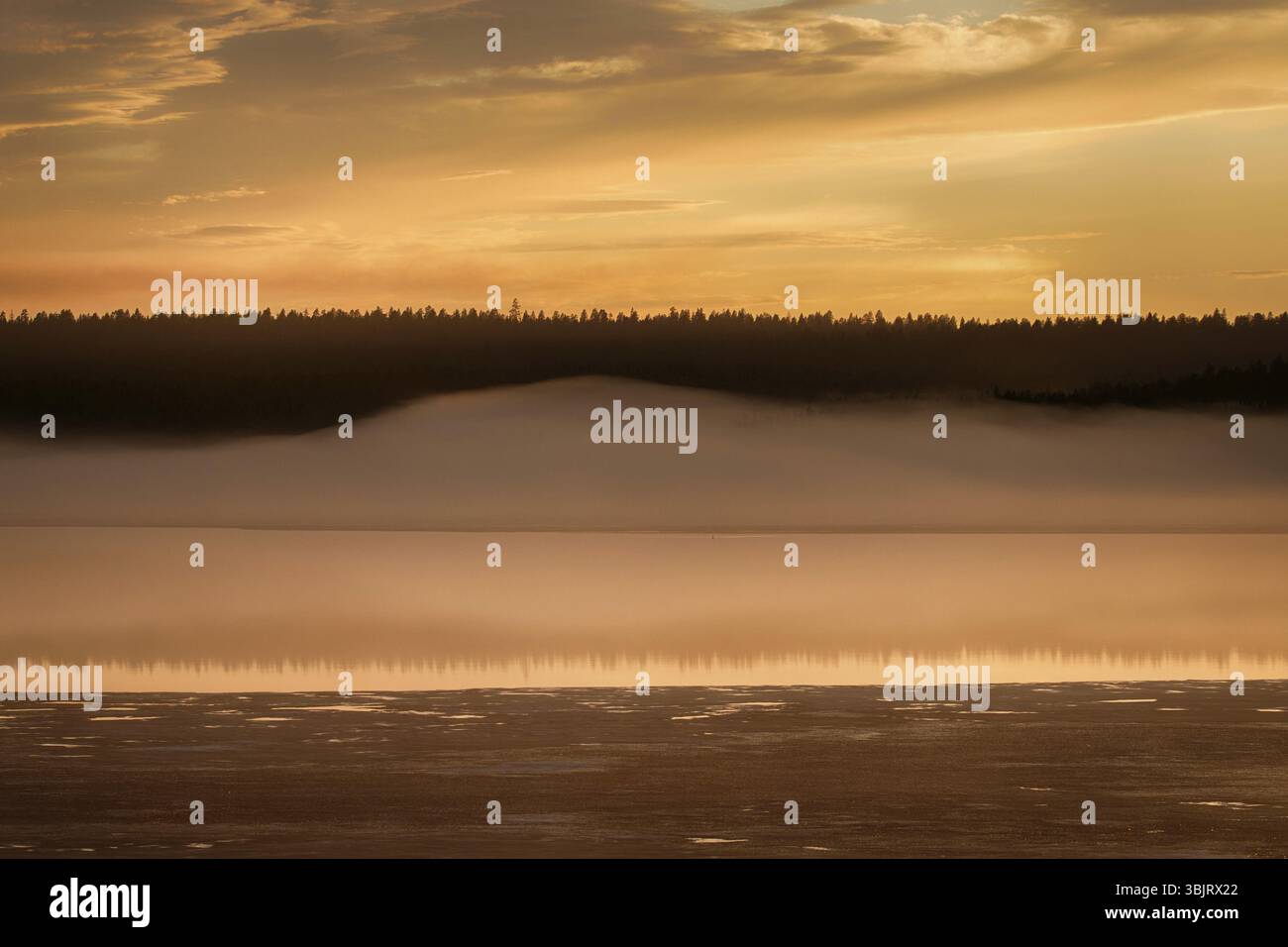 Misty serata tranquilla sul lago di foresta è illuminata con i colori del tramonto, ghiaccio fondente. Onde di nebbia al di sopra dell'acqua. La molla nell'Artico nord. Scandina Foto Stock