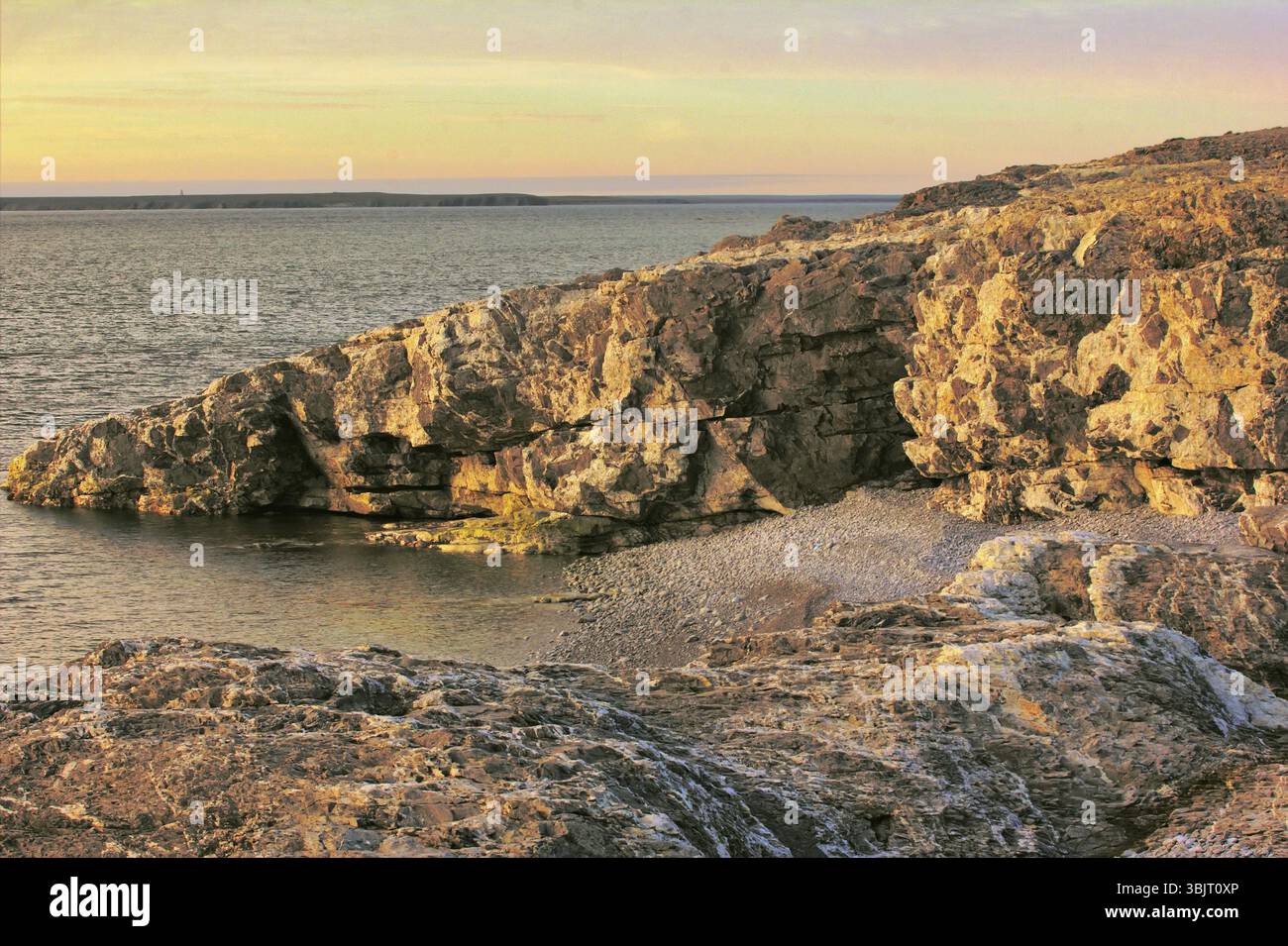 Capo naso bianco in stretto di Ugra dal Mar di Barents Mare di Kara, Oceano Artico Foto Stock