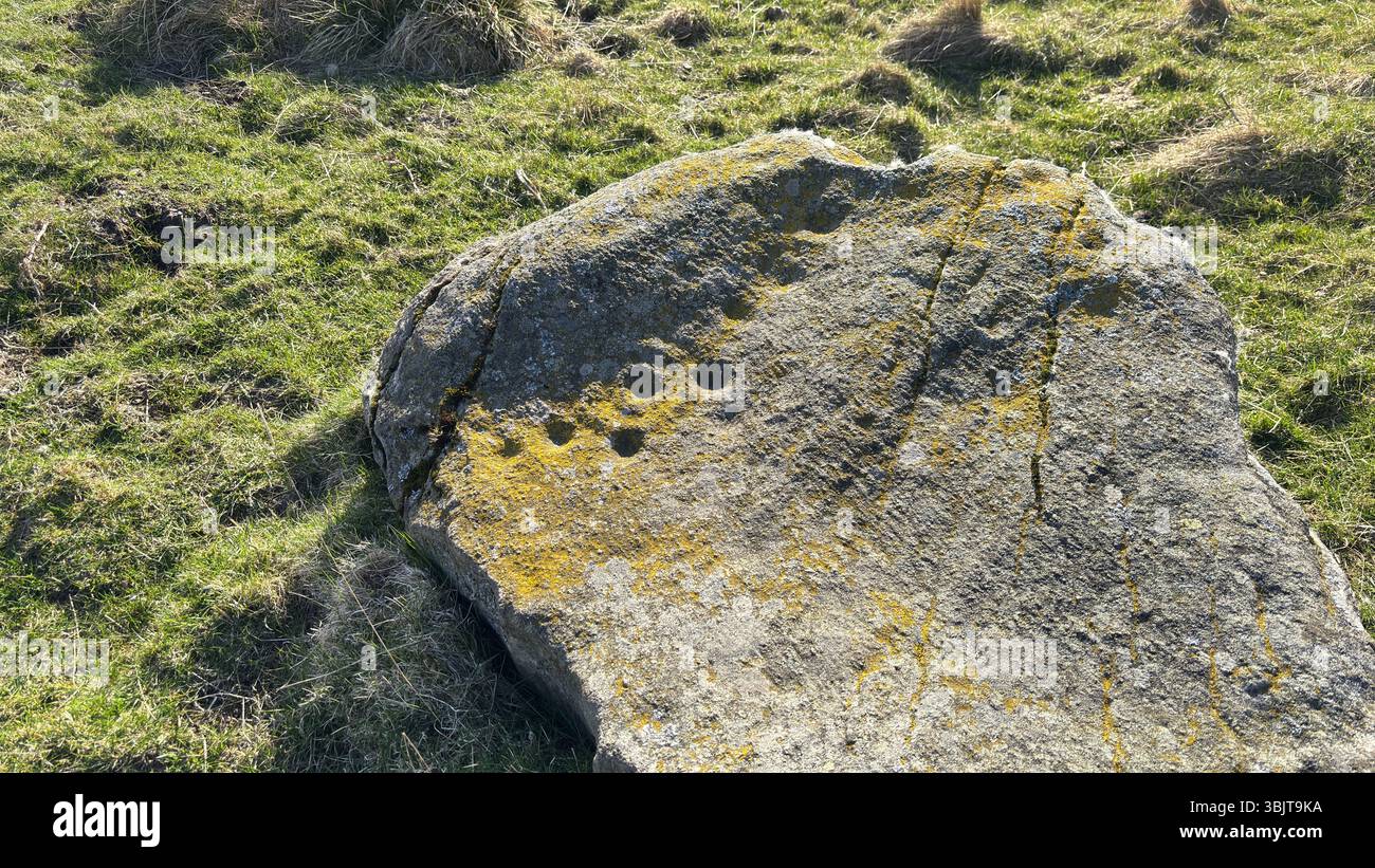 Una pietra segnata da una tazza pittica, un masso preistorico inciso con antiche depressioni di coppa e incisioni simbolo. Echi dei primi rituali nelle Highland Foto Stock