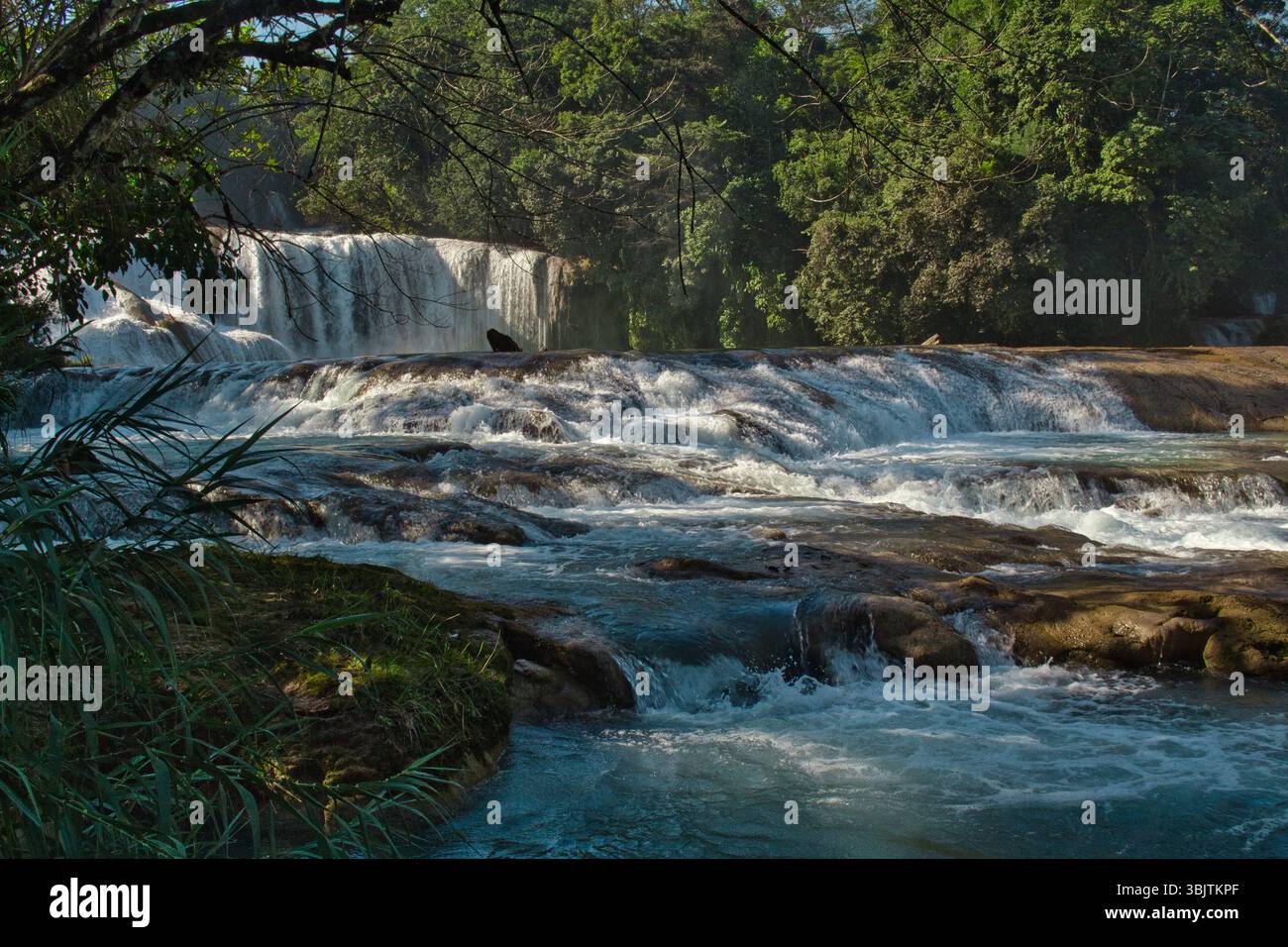 Cascadas de Agua Azul nel Chiapas, Messico, cascate turchesi circondate dalla giungla, una meraviglia naturale e popolare destinazione di viaggio Foto Stock
