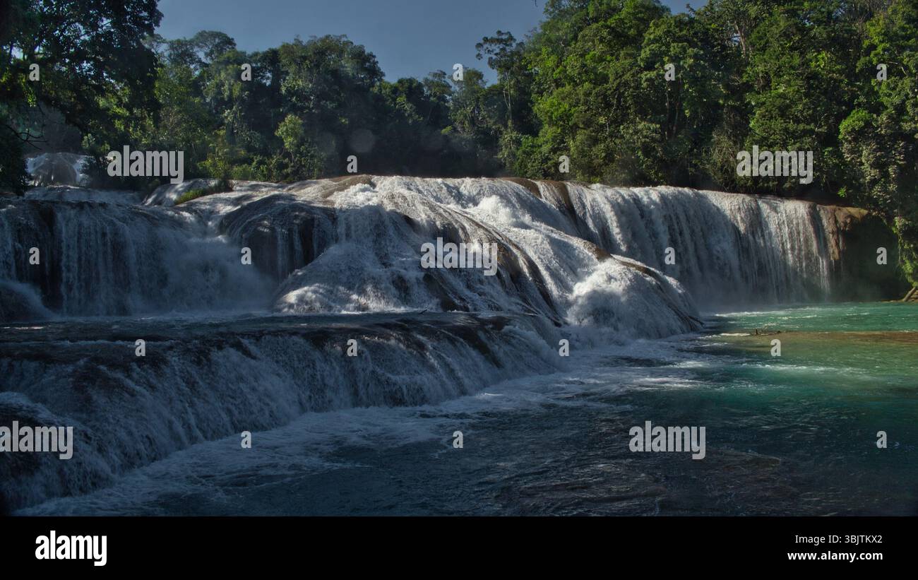 Cascadas de Agua Azul nel Chiapas, Messico, cascate turchesi circondate dalla giungla, una meraviglia naturale e popolare destinazione di viaggio Foto Stock