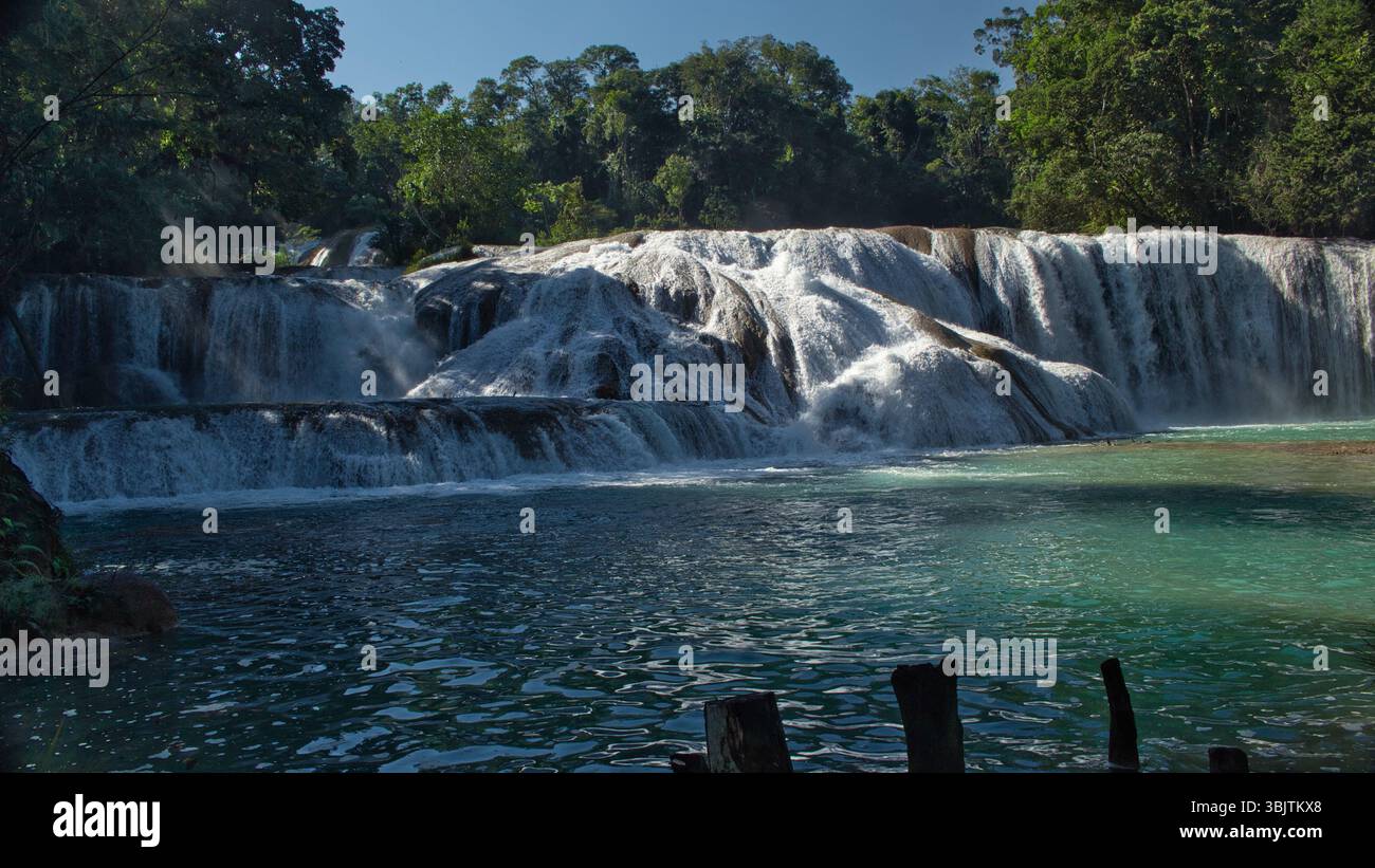 Cascadas de Agua Azul nel Chiapas, Messico, cascate turchesi circondate dalla giungla, una meraviglia naturale e popolare destinazione di viaggio Foto Stock