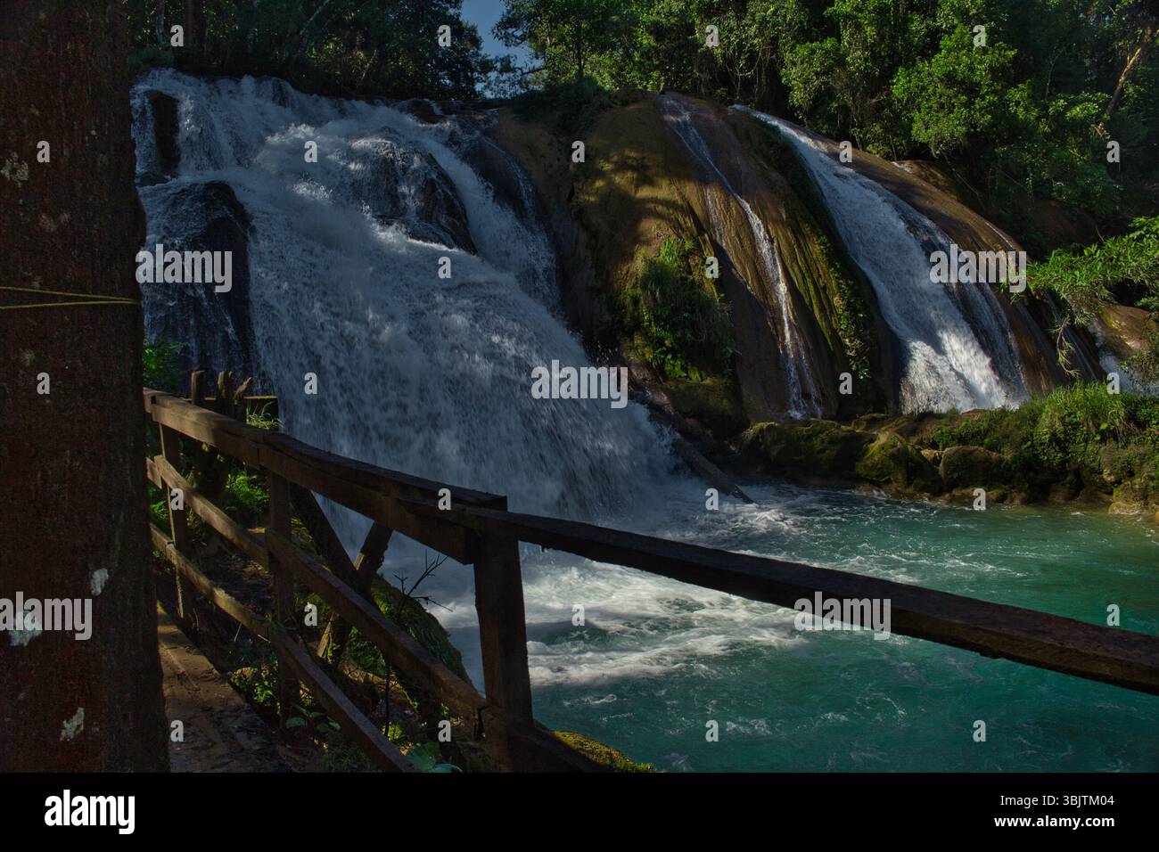 Cascadas de Agua Azul nel Chiapas, Messico, cascate turchesi circondate dalla giungla, una meraviglia naturale e popolare destinazione di viaggio Foto Stock