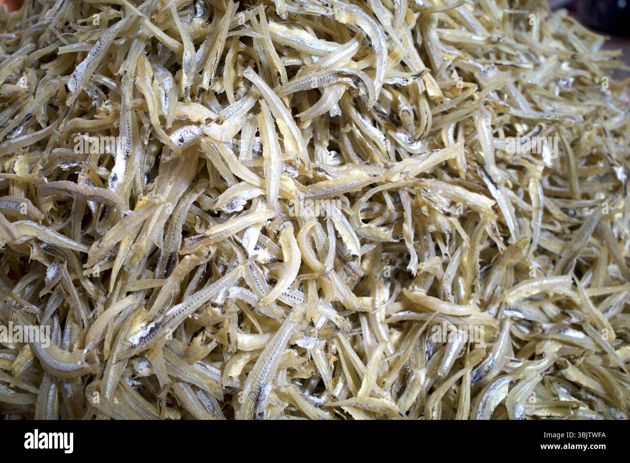 Acciughe essiccate scientificamente note come Stolephorus indicus, pesce salato al mercato tradizionale di Batam, Indonesia. Foto Stock