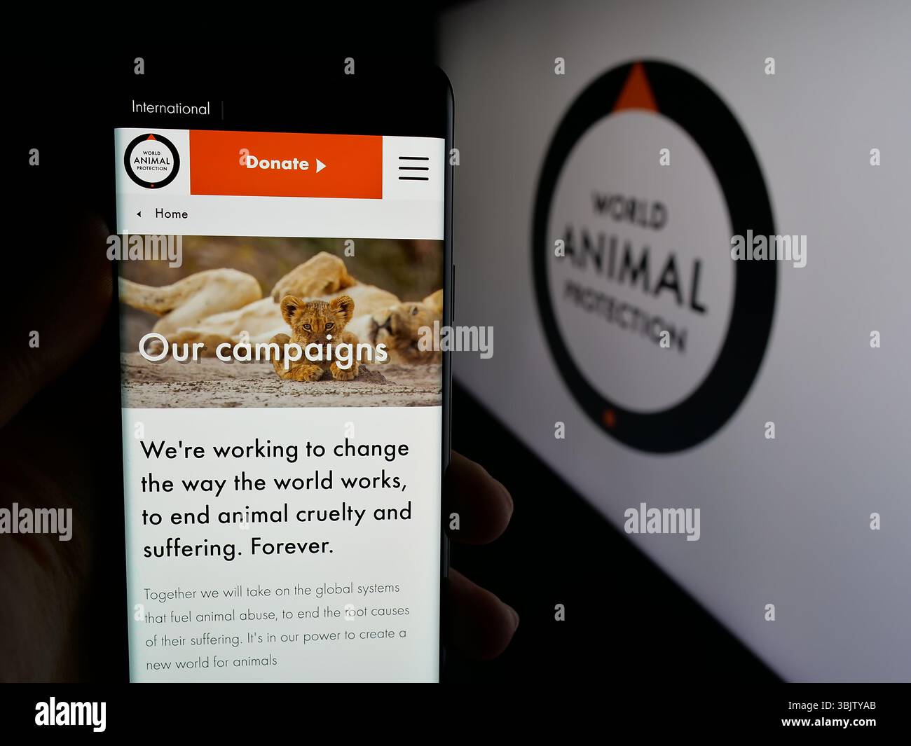 Stoccarda, Germania - 04-17-2025: Persona che tiene un cellulare con pagina web dell'organizzazione britannica World Animal Protection sullo schermo davanti al logo. Foto Stock