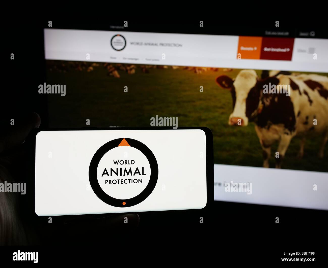 Stoccarda, Germania - 04-17-2025: Persona con smartphone con logo dell'organizzazione britannica World Animal Protection sullo schermo di fronte al sito web. Foto Stock