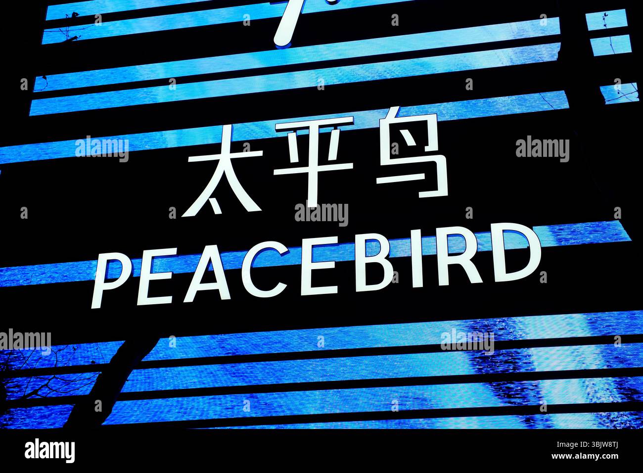 Shanghai, Cina - 14 febbraio 2025: Logo della società Peacebird Foto Stock