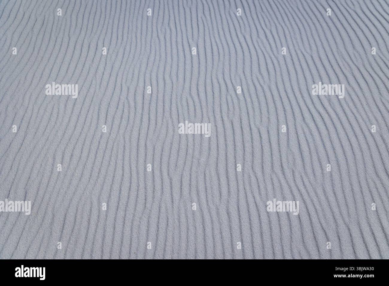 Dettagli della spiaggia del parco paesaggistico Sarbsko Spit sulla costa del Mar Baltico in Polonia Foto Stock