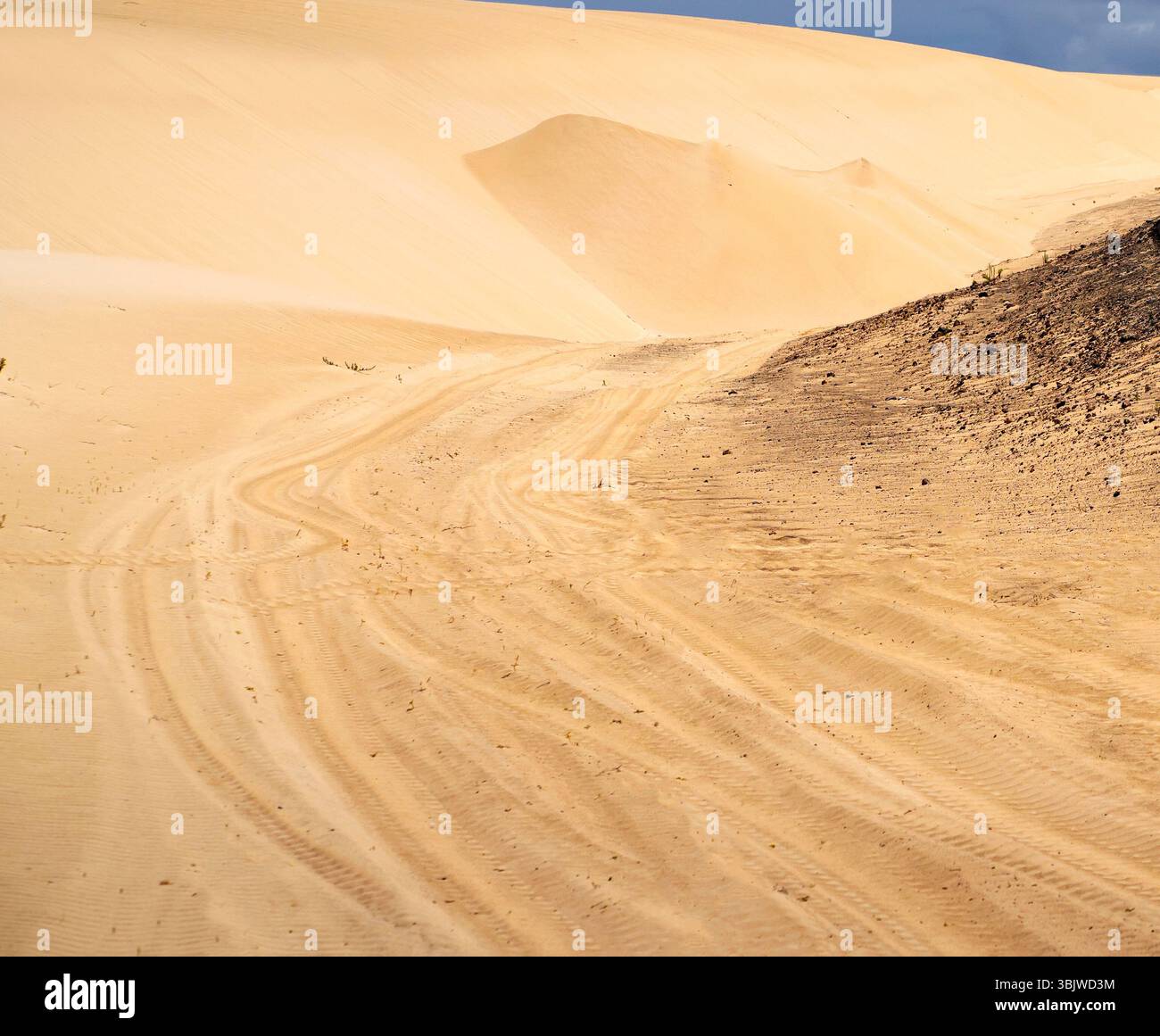 Dune di sabbia gialla calde nel deserto sullo sfondo di un cielo blu con nuvole, un pittoresco paesaggio minimalista con la natura in un plac desertico Foto Stock