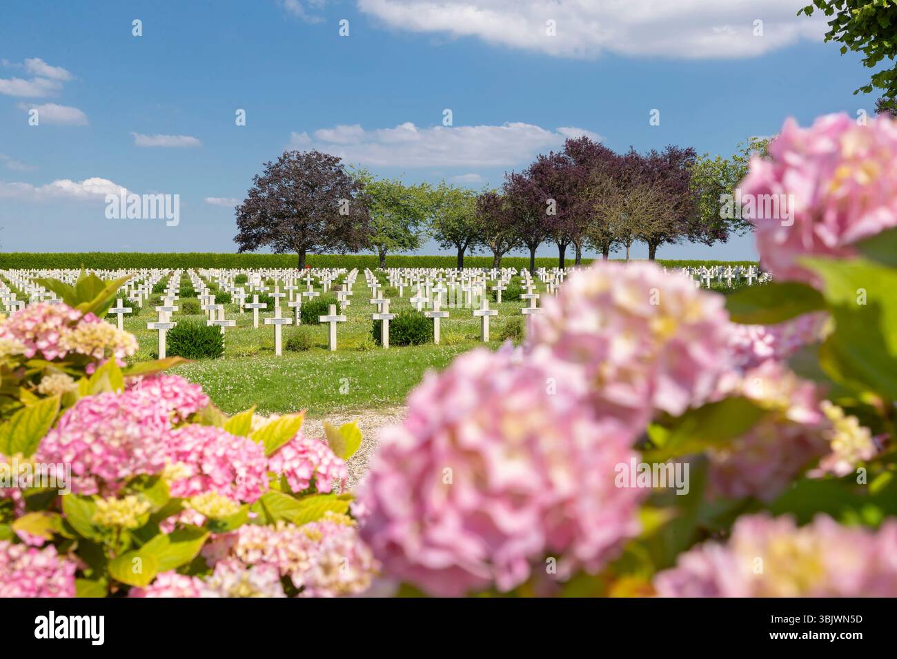 Rancourt (Francia settentrionale): Area memoriale Rancourt-Bouchavesnes, Battaglia della somme, prima guerra mondiale, 1914-1918. Qui, la necropoli nazionale e la Th Foto Stock