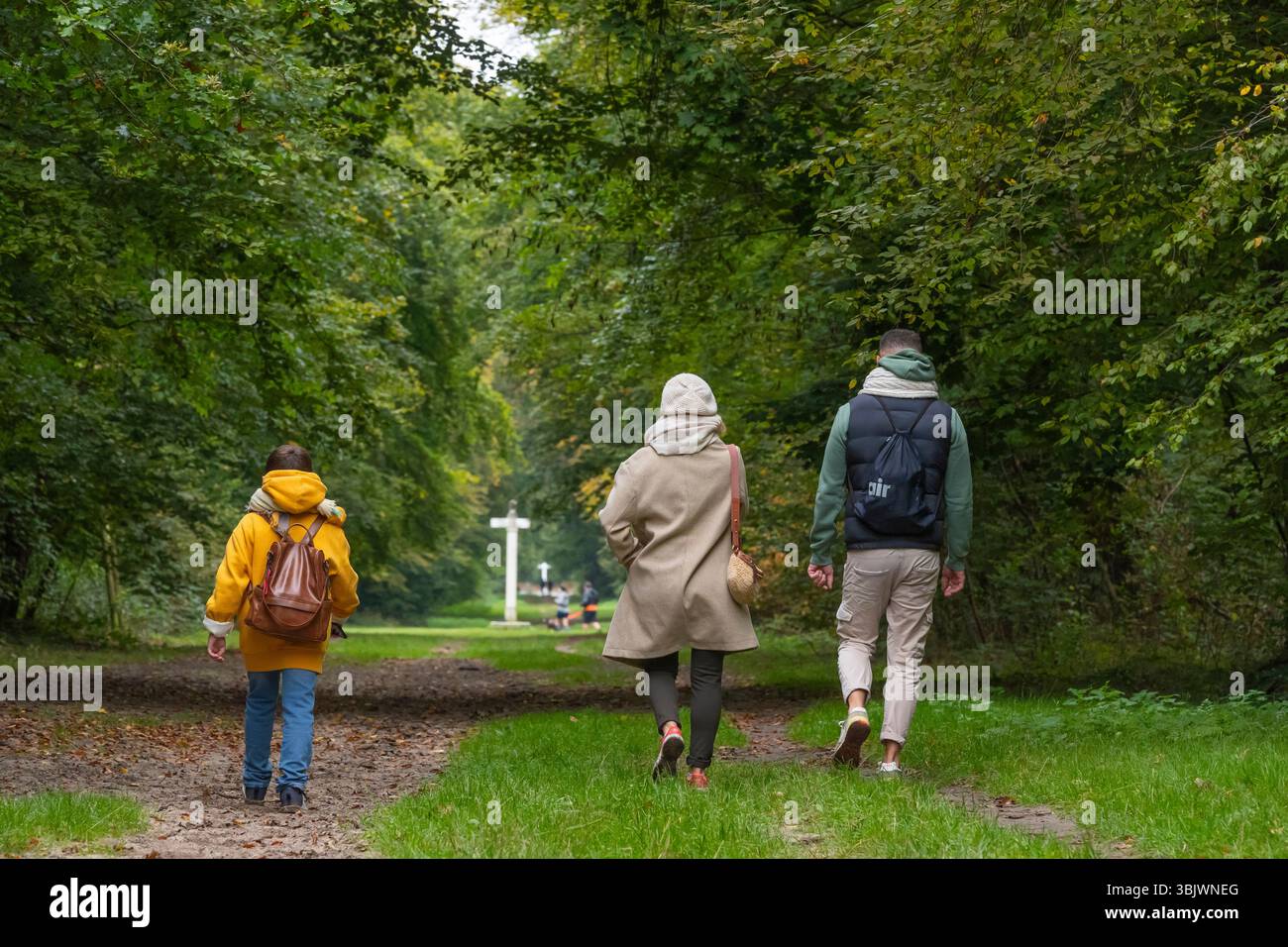 Compiègne (Francia settentrionale): Cammina lungo il sentiero “allée des Beaux-Monts” nella foresta pubblica di Compiègne Foto Stock