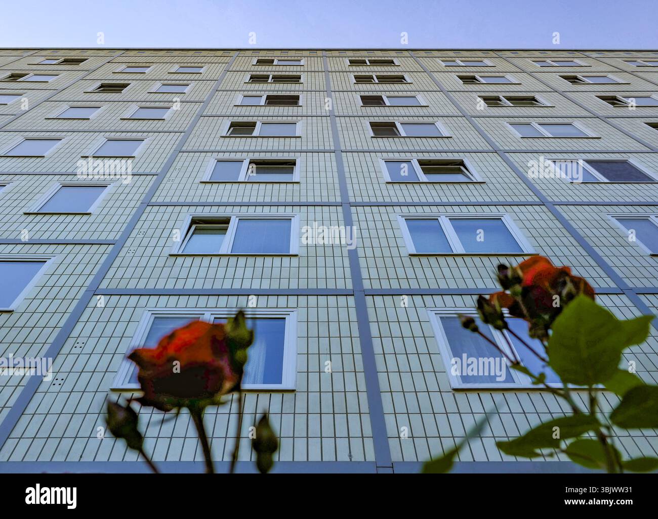 Guardando in alto un tipico condominio prefabbricato di Berlino Est con rose rosse in primo piano, simboleggia la modesta felicità della classe media. Foto Stock