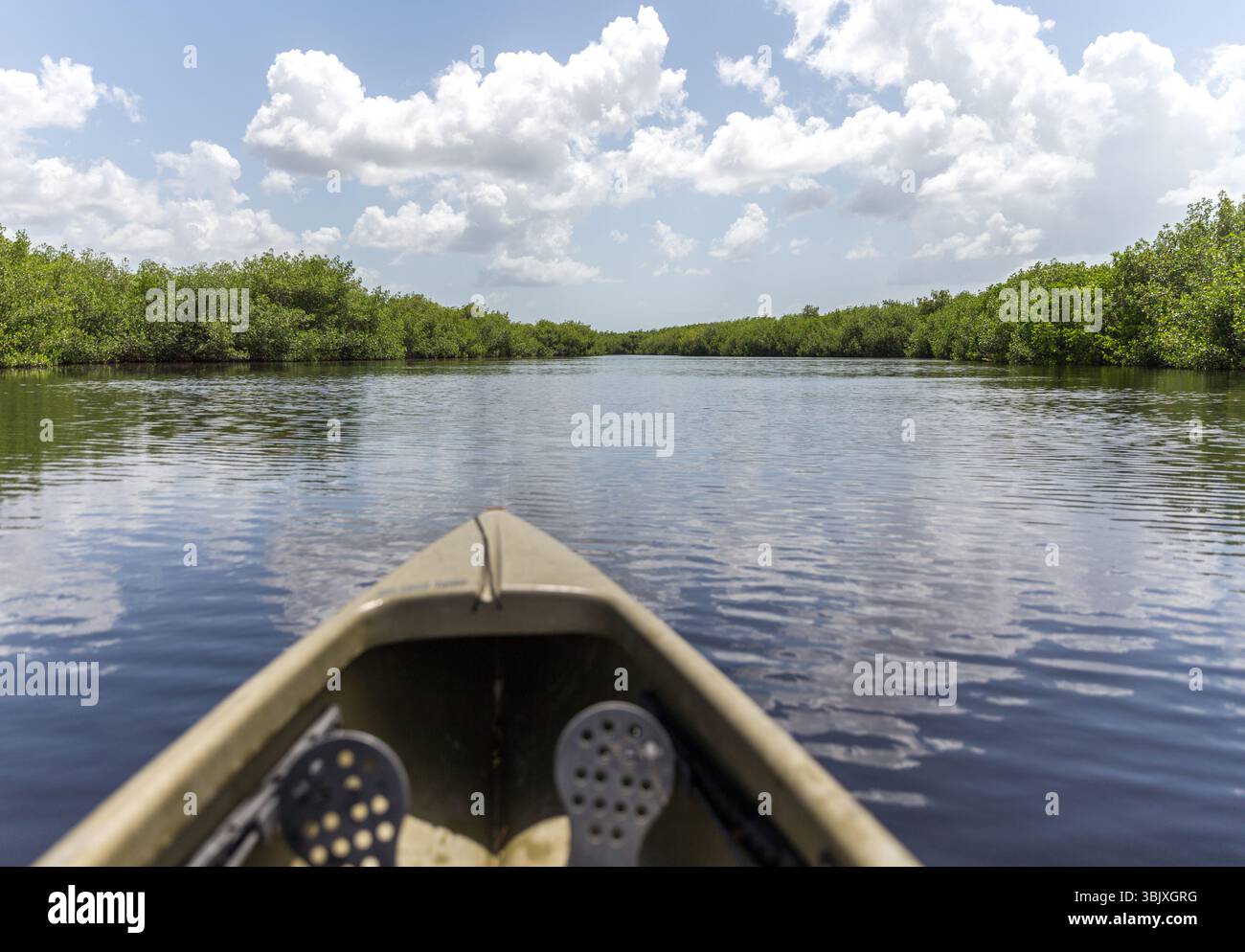 Kayak nel parco nazionale delle Everglades, Stati Uniti Foto Stock