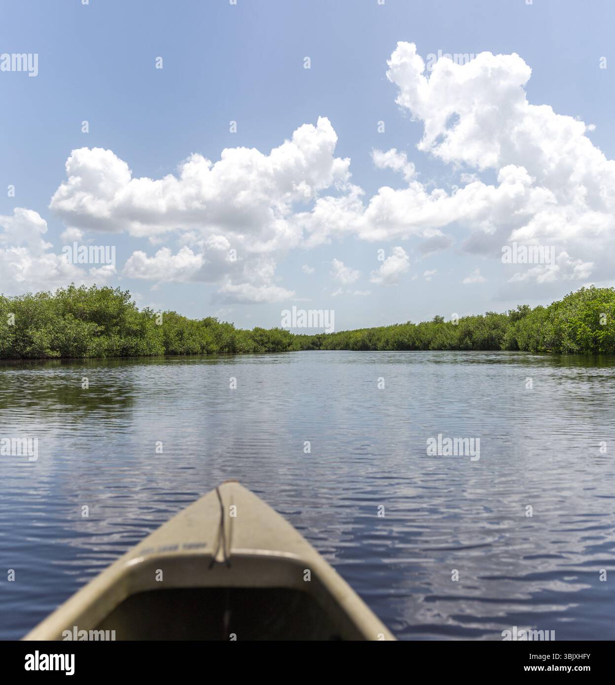 Kayak nel parco nazionale delle Everglades, Stati Uniti Foto Stock