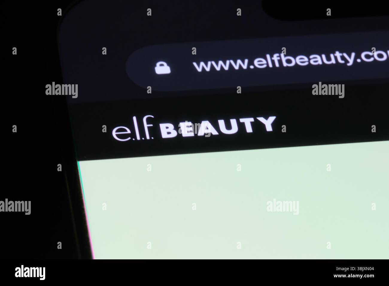 Shanghai, Cina - 12 giugno 2025: E.l.f. logo del marchio Beauty Company sul sito web Foto Stock