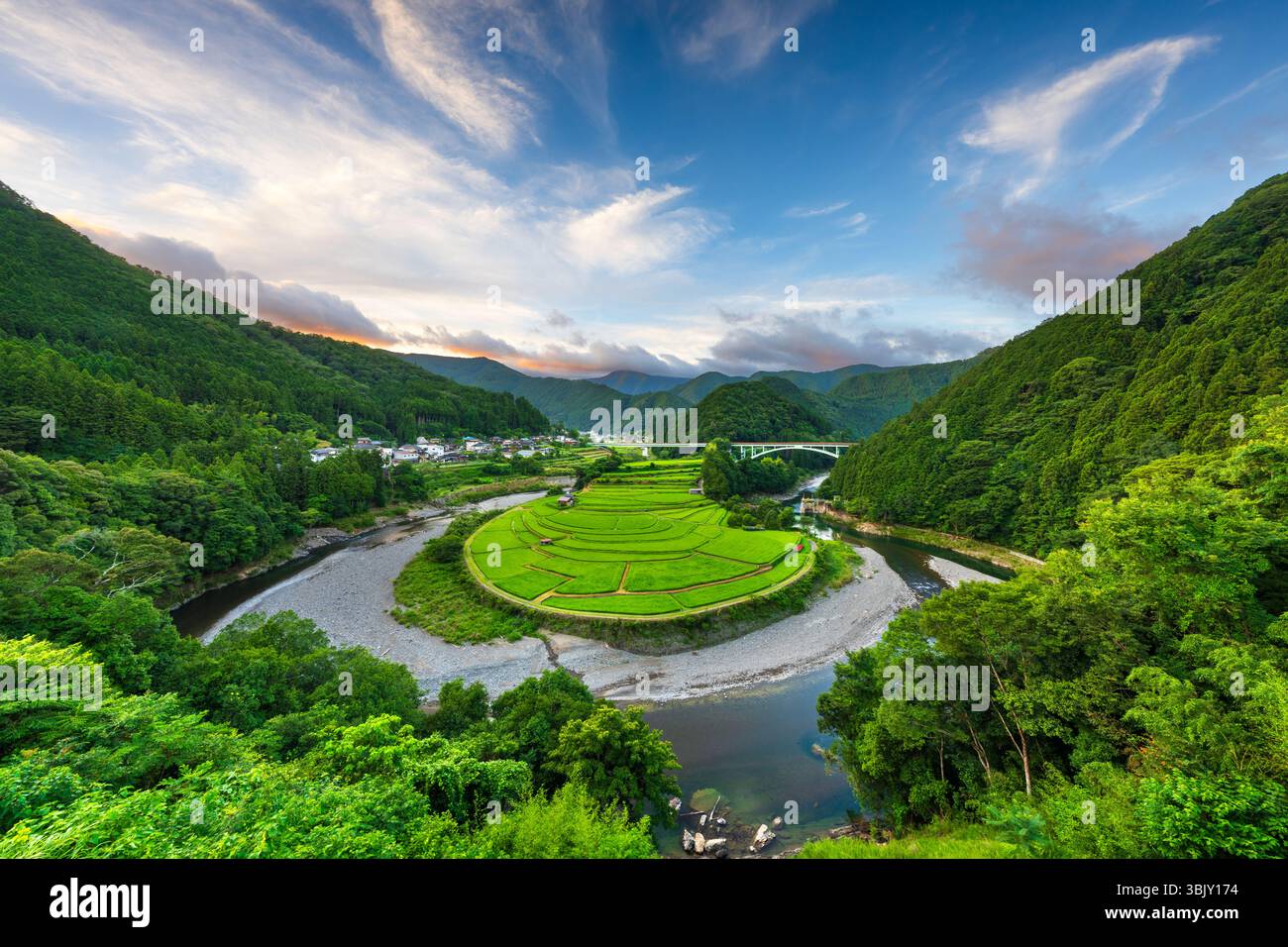 Terrazza di riso Aragijima a Wakayama, Giappone. Foto Stock