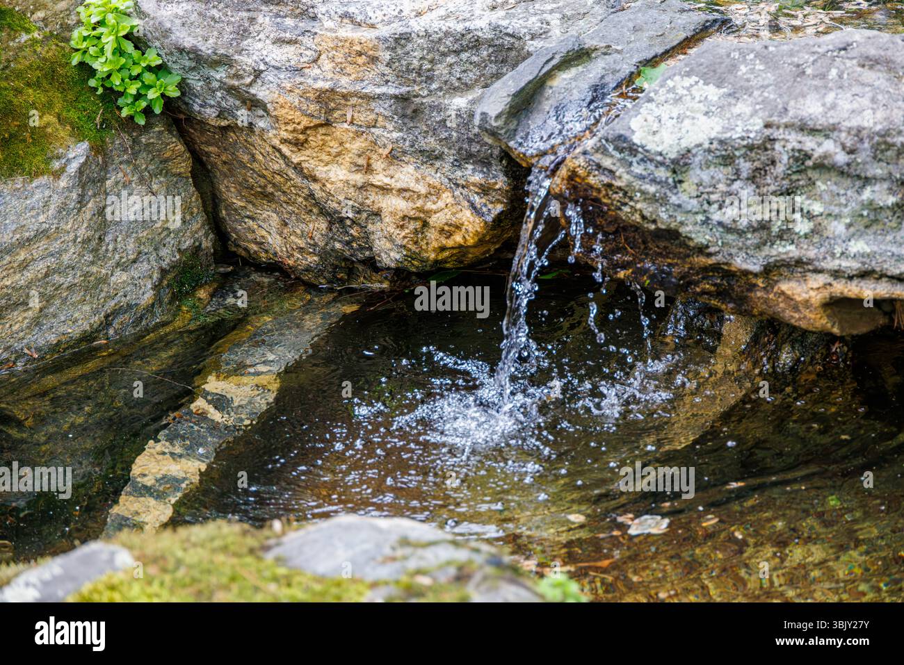 Piccola fontana in pietra con acqua che si getta in una piscina poco profonda, circondata da rocce e vegetazione mossy, un tranquillo giardino in un ambiente naturale. Foto Stock