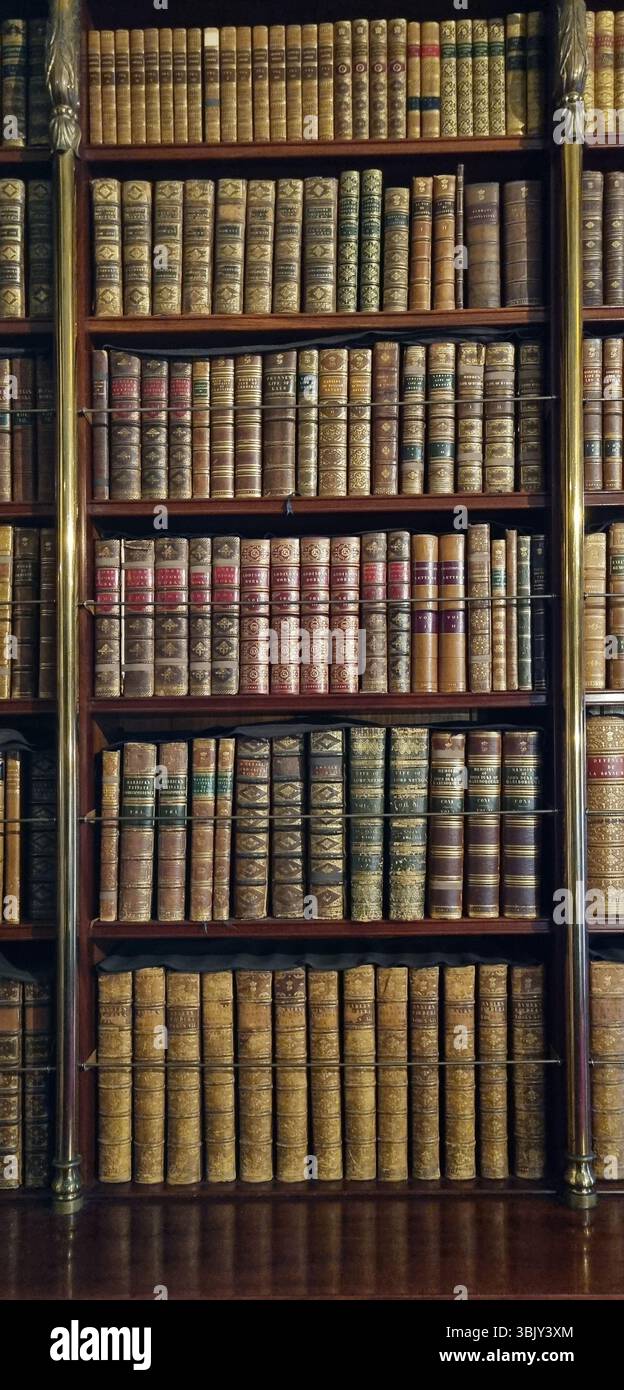 Vecchi libri polverosi su scaffali di legno. Foto Stock